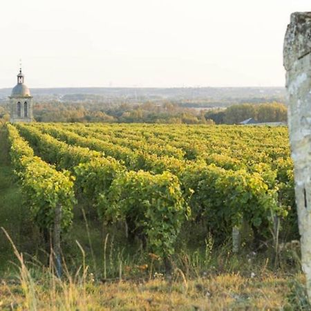 Studio Au Coeur Des Vignes Lägenhet Montlouis-sur-Loire Exteriör bild