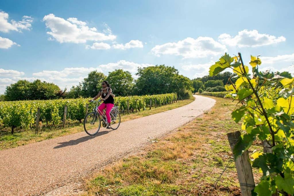 Studio Au Coeur Des Vignes Lägenhet Montlouis-sur-Loire Exteriör bild